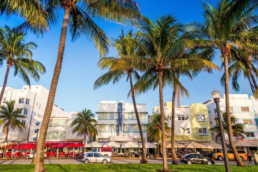 Apartment On The Beach Miami Beach Dış mekan fotoğraf